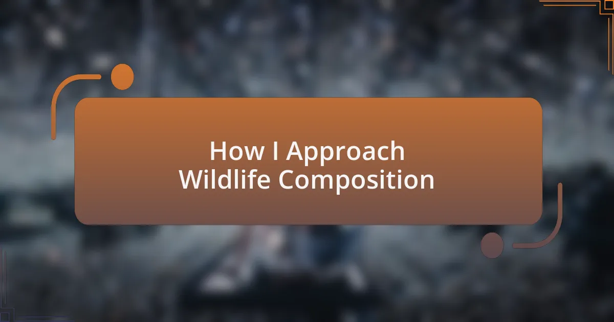 How I Approach Wildlife Composition