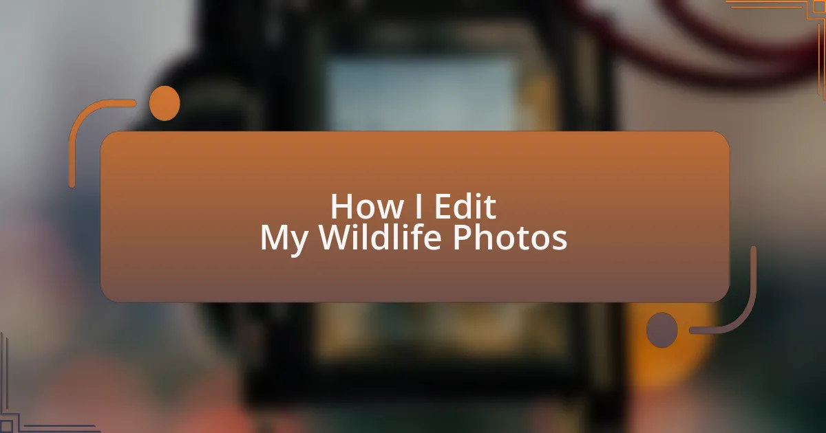 How I Edit My Wildlife Photos