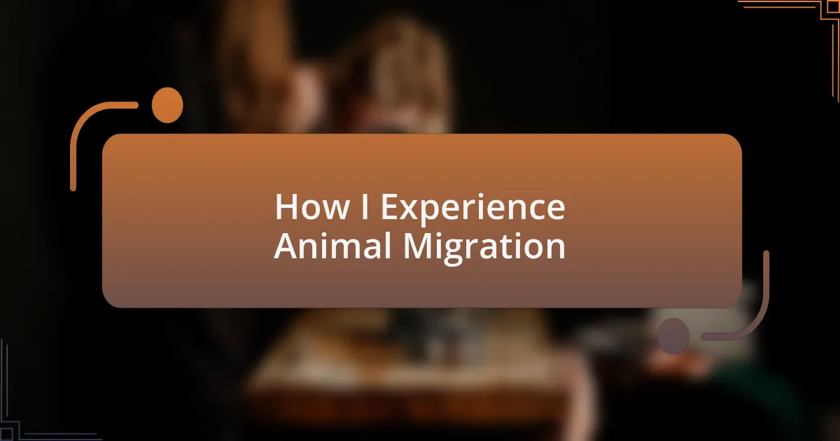 How I Experience Animal Migration