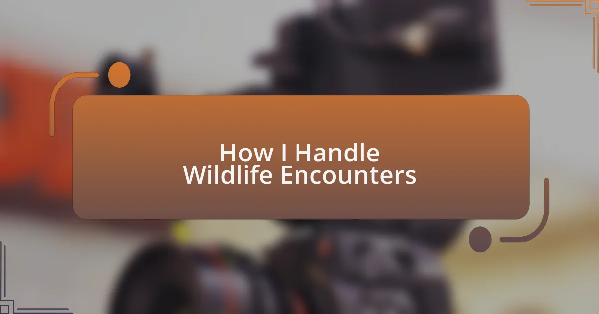 How I Handle Wildlife Encounters