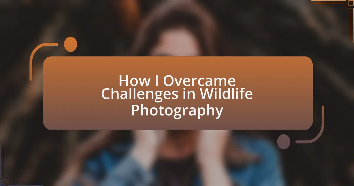 How I Overcame Challenges in Wildlife Photography