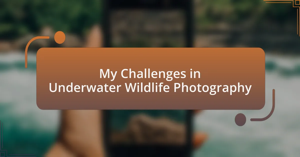 My Challenges in Underwater Wildlife Photography