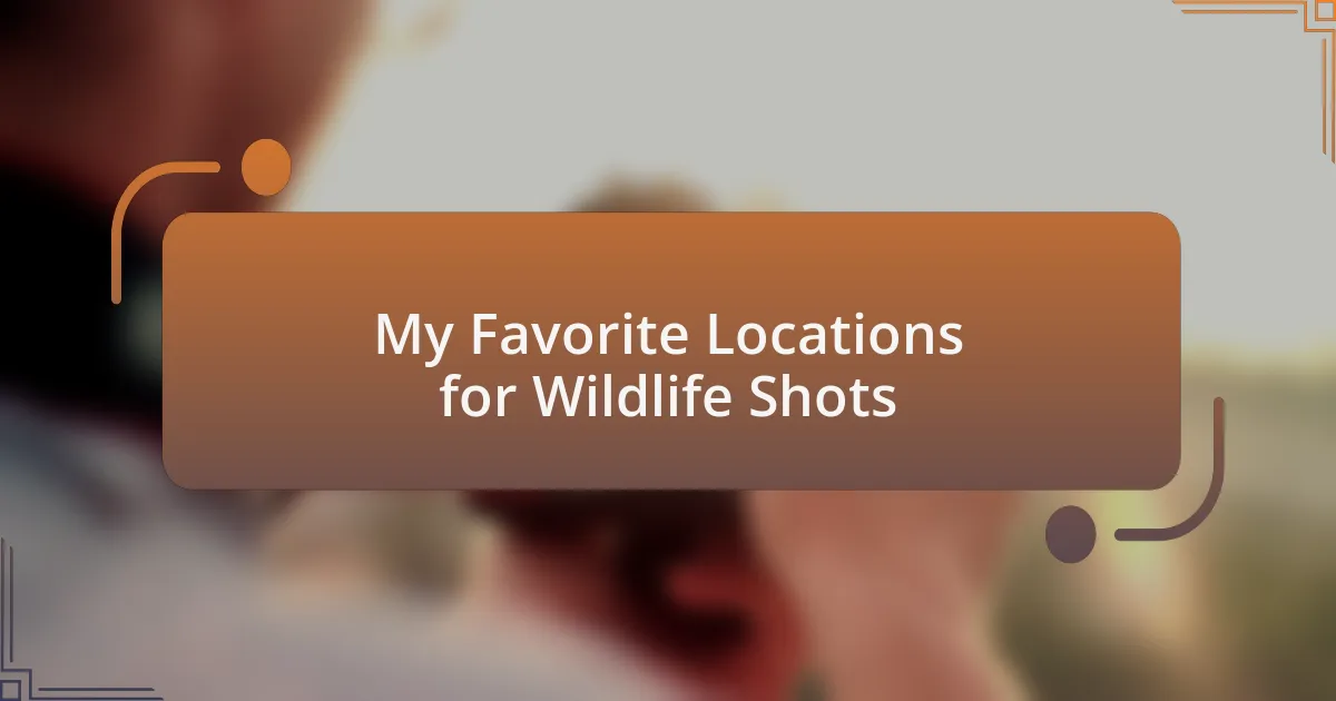 My Favorite Locations for Wildlife Shots