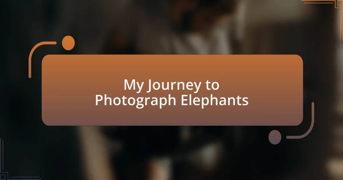My Journey to Photograph Elephants