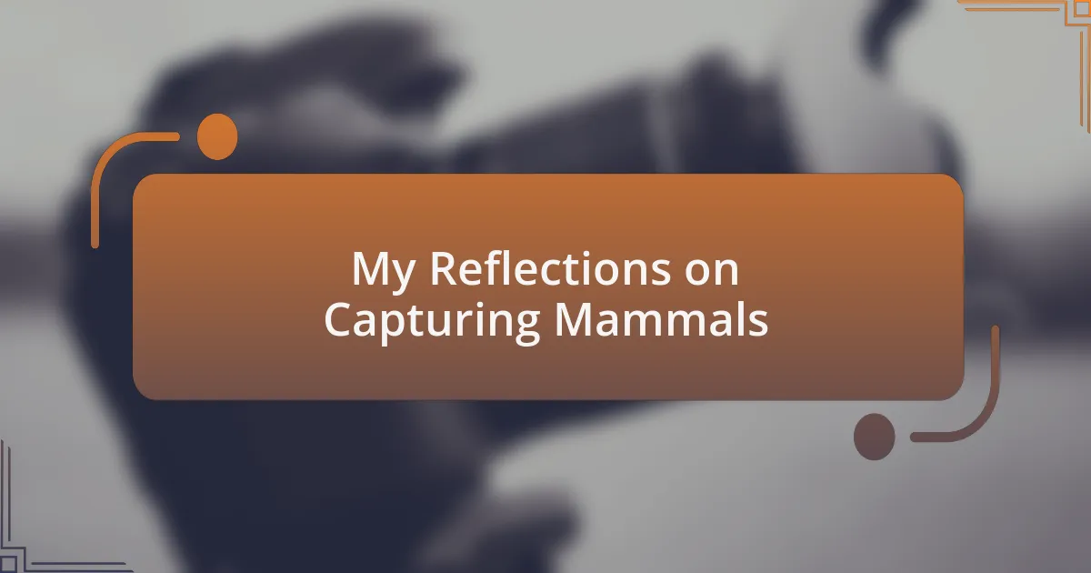 My Reflections on Capturing Mammals