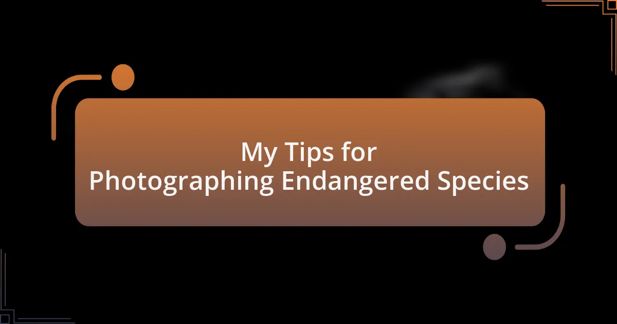 My Tips for Photographing Endangered Species