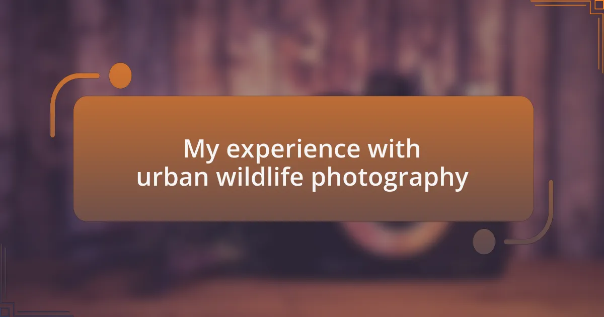 My experience with urban wildlife photography