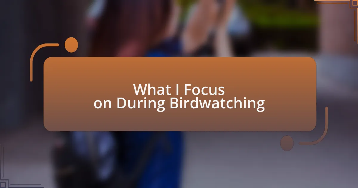 What I Focus on During Birdwatching