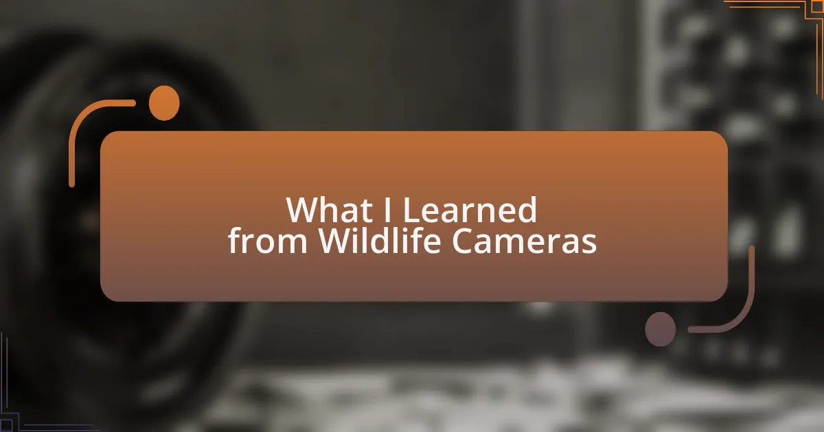 What I Learned from Wildlife Cameras