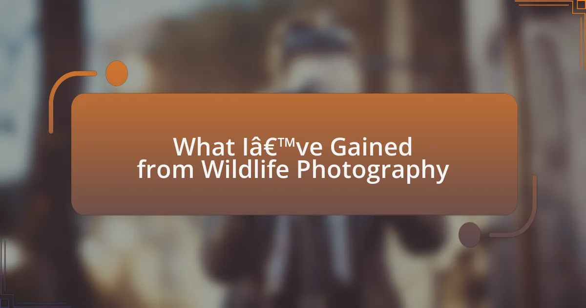 What I’ve Gained from Wildlife Photography