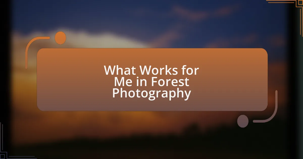 What Works for Me in Forest Photography